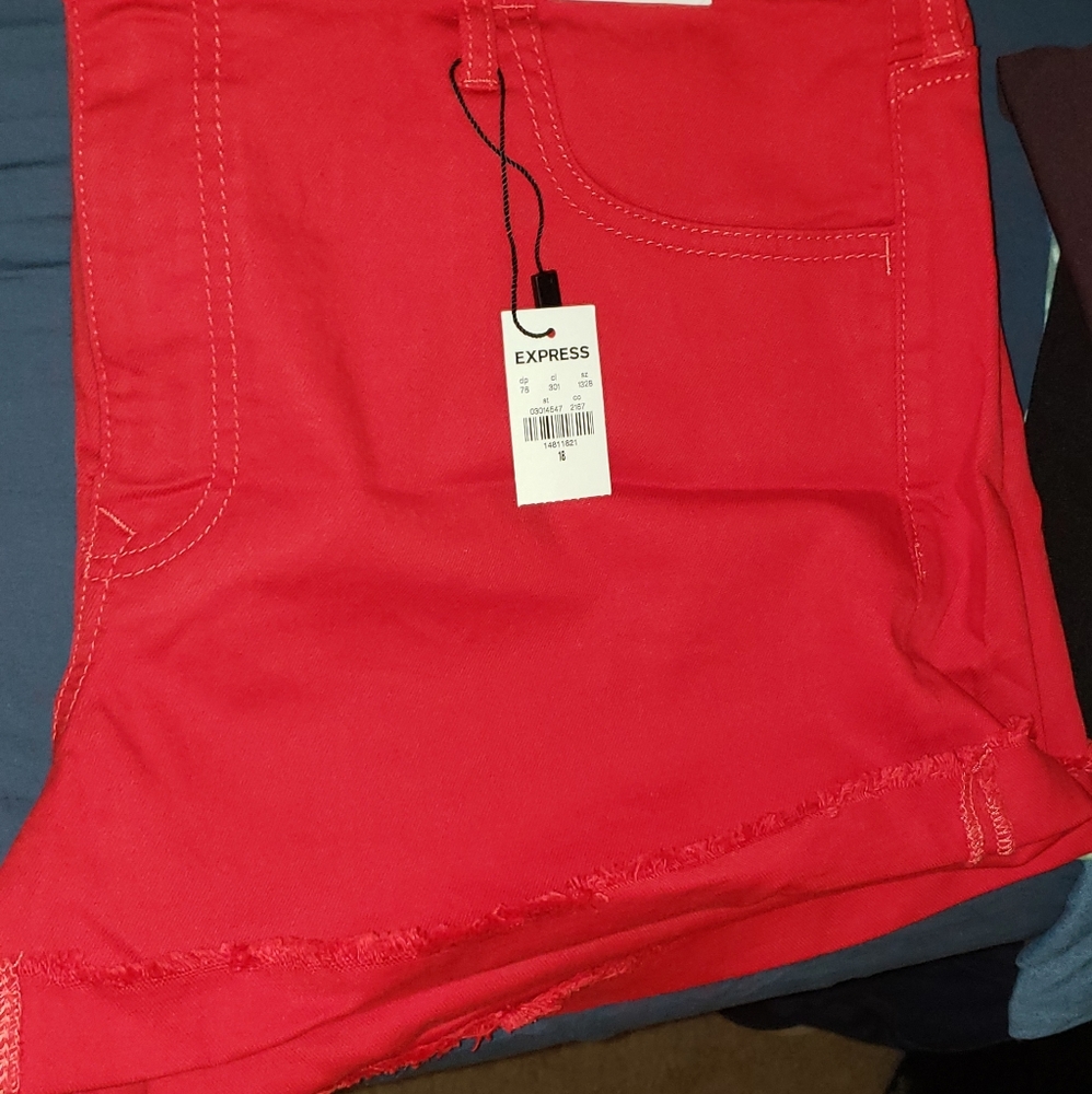 NWT Express brand mid-rise shorts size 18